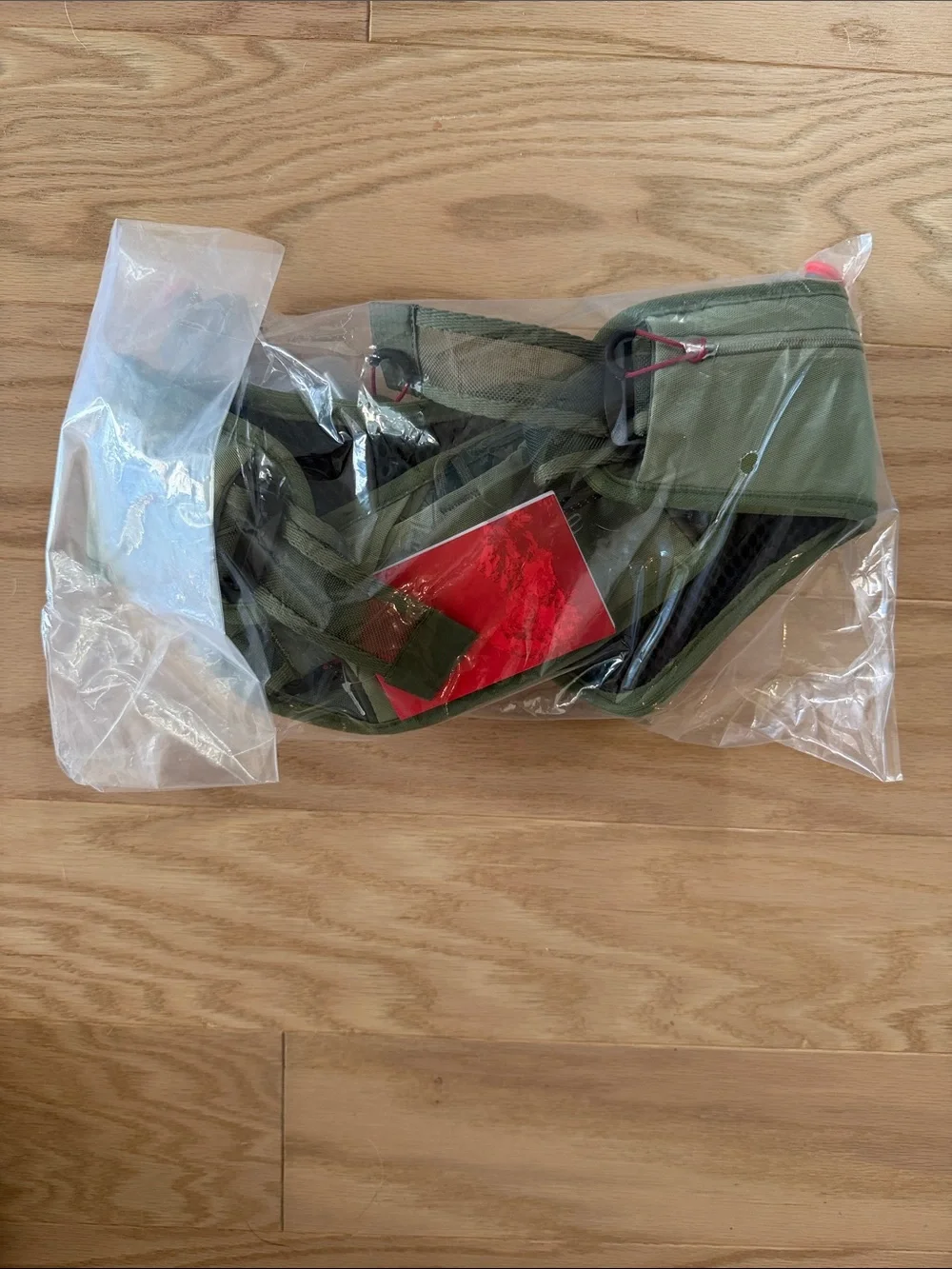 Speedgoat 4.0 Waist Pack BRAND NEW WITH TAGS - Picture 4 of 5